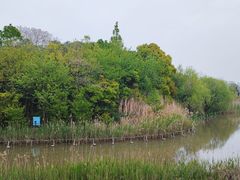 -上海吴淞炮台湾国家湿地公园