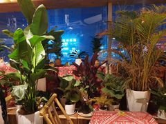 -火塘云南烧烤大排档