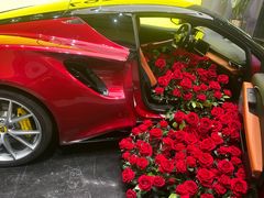 -莲花跑车(国贸商城店)