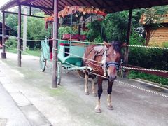 iphone_upload_pic-苏州太湖牛仔风情度假村