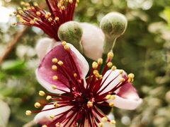 -呀路古热带植物园