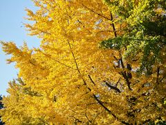 -东华门大街小区