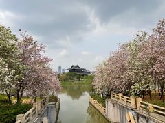 -海珠湖公园
