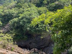 -广州白江湖森林公园