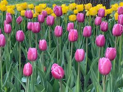 -长春公园(普阳街道)