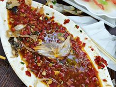 -琼海温泉鹅农家饭店