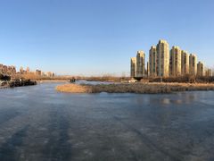 -前关湿地公园