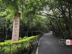 -大屏嶂森林公园