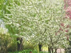 -元大都城垣遗址公园