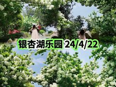 -南京银杏湖乐园