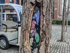 -北京市海淀外国语实验学校