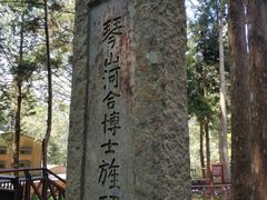 -阿里山神木遗迹