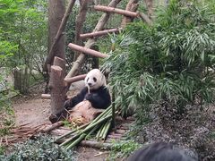 -老黄记手撕烤兔(玉林街店)