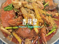 -金螃蟹