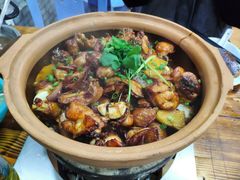 -广宁炭炉鸡煲·富临门饭店
