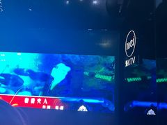 -魅KTV·AI辅唱(福雷德广场店)