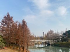 -尚贤河湿地