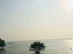 -宝安西湾红树林湿地公园