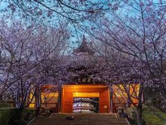 -牛首山文化旅游区