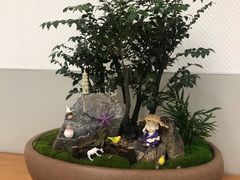 -厦门市图书馆(集美新城馆区)