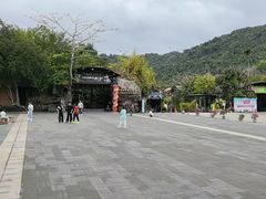 -海南槟榔谷黎苗文化旅游区