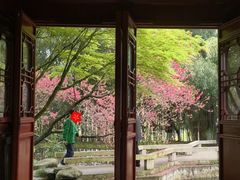 -重庆园博园