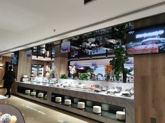 -金沙会馆