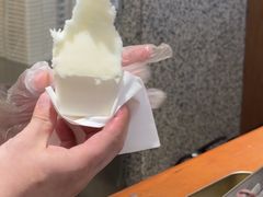 -野人先生Gelato(上海长宁龙之梦店)