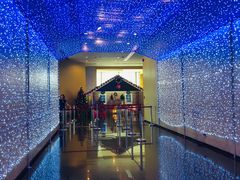 -彩虹云霄拜约克摩天塔