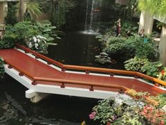 -白天鹅宾馆·流浮阁咖啡厅