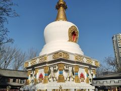 -护国法轮寺