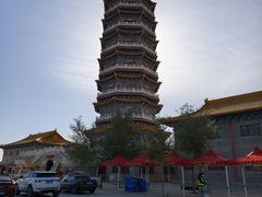 -金塔沙漠胡杨林景区