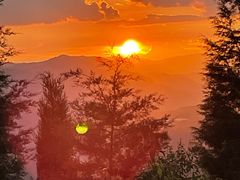 -长虫山生态公园风景林