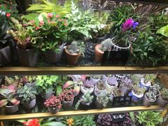 -茶马花街(城西银泰城店)