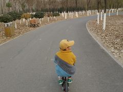 -东郊湿地公园