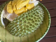 -榴莲BB 四季果园