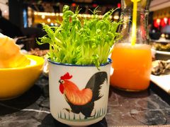 -海鼎荟海鲜姿造(仟禧汇店)