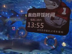 -烟台海昌鲸鲨海洋公园