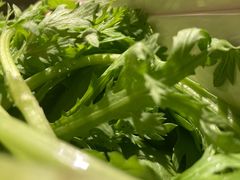-海底捞火锅(公益西桥店)