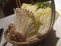 -同仁四季椰子鸡(福田东园总店)