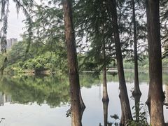 -重庆彩云湖湿地公园