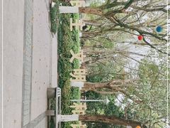 -处州公园