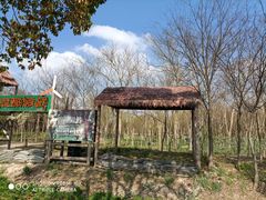 -嘉北郊野公园