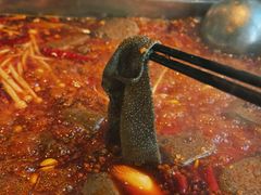 -红鼎坊·老成都火锅(新南门店)