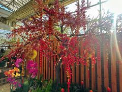 -沈阳植物园