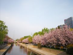 -海棠花溪(元大都城垣遗址公园)