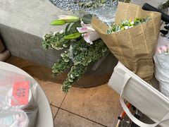 -大小咖啡 BigSmallCoffee(麦子店)