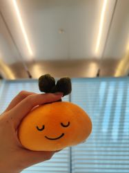 -BR光电保养