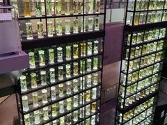 -广东中医药博物馆