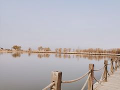 -野鸭湖国家湿地公园